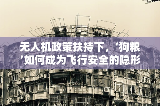 无人机政策扶持下，‘狗粮’如何成为飞行安全的隐形守护者？