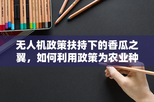 无人机政策扶持下的香瓜之翼，如何利用政策为农业种植提供空中助力？