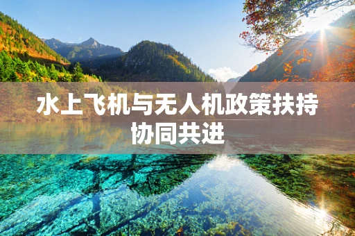 水上飞机与无人机政策扶持协同共进