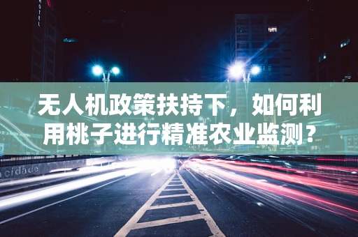 无人机政策扶持下，如何利用桃子进行精准农业监测？