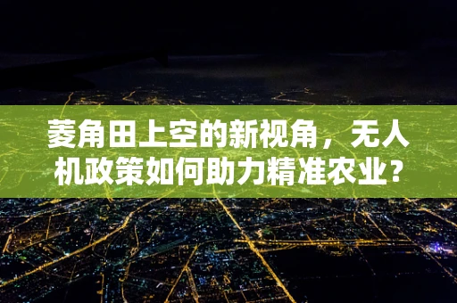 菱角田上空的新视角，无人机政策如何助力精准农业？