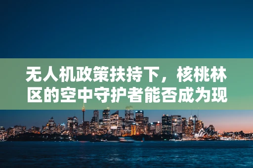 无人机政策扶持下，核桃林区的空中守护者能否成为现实？