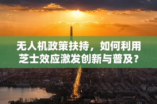 无人机政策扶持，如何利用芝士效应激发创新与普及？