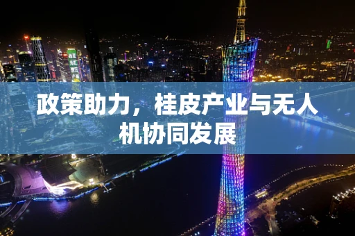 政策助力，桂皮产业与无人机协同发展