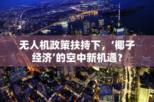 无人机政策扶持下，‘椰子经济’的空中新机遇？