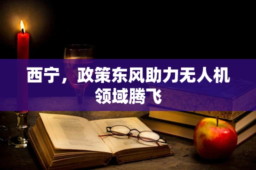 西宁，政策东风助力无人机领域腾飞