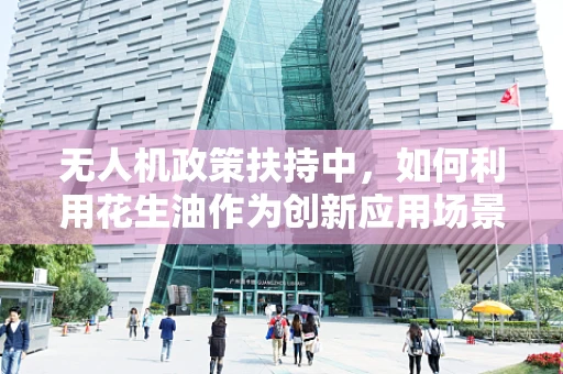 无人机政策扶持中，如何利用花生油作为创新应用场景的润滑剂？