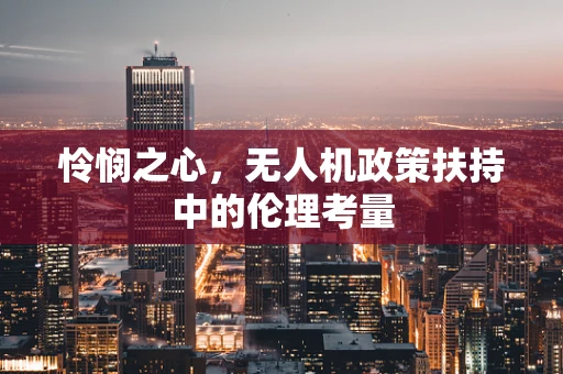 怜悯之心，无人机政策扶持中的伦理考量