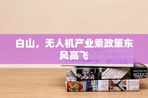 白山，无人机产业乘政策东风高飞