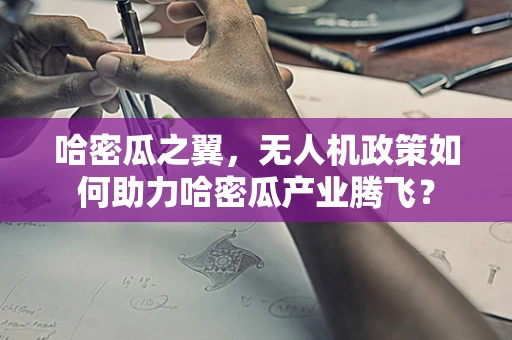 哈密瓜之翼，无人机政策如何助力哈密瓜产业腾飞？