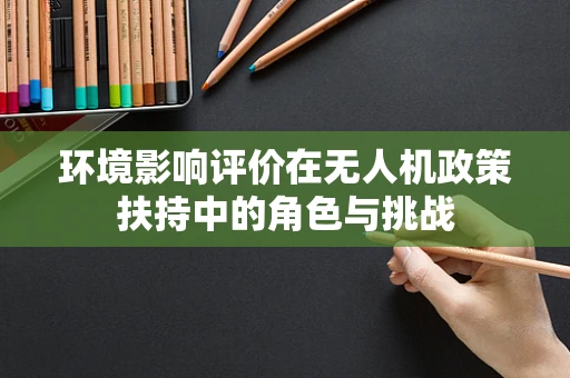 环境影响评价在无人机政策扶持中的角色与挑战