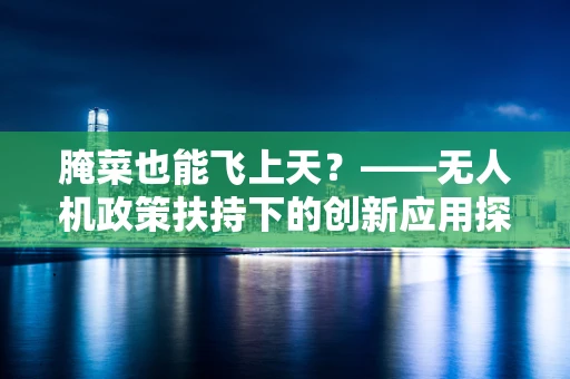 腌菜也能飞上天？——无人机政策扶持下的创新应用探索