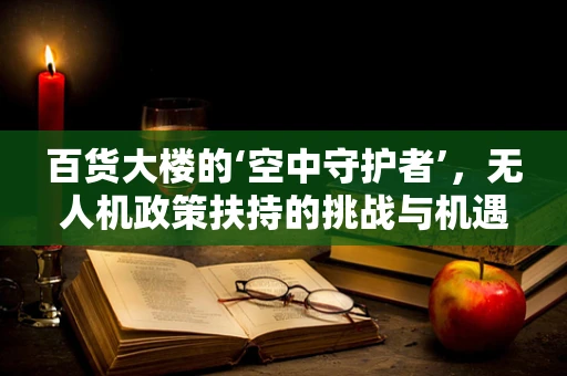 百货大楼的‘空中守护者’，无人机政策扶持的挑战与机遇？