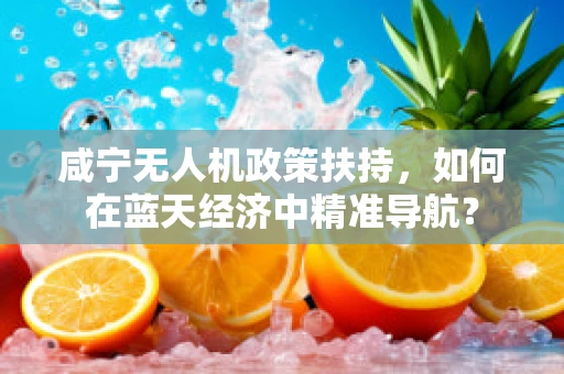 咸宁无人机政策扶持，如何在蓝天经济中精准导航？
