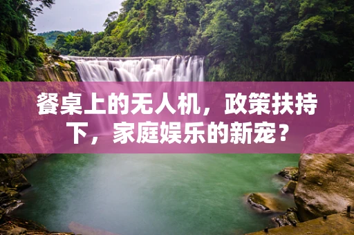 餐桌上的无人机，政策扶持下，家庭娱乐的新宠？