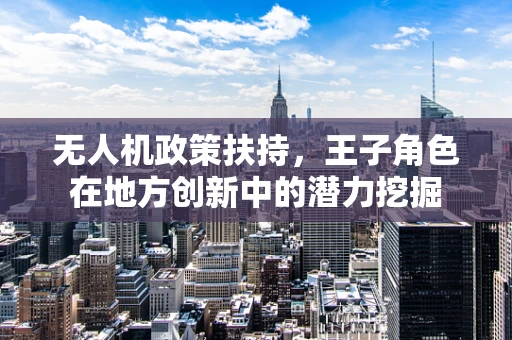 无人机政策扶持，王子角色在地方创新中的潜力挖掘