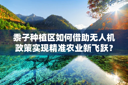 黍子种植区如何借助无人机政策实现精准农业新飞跃？