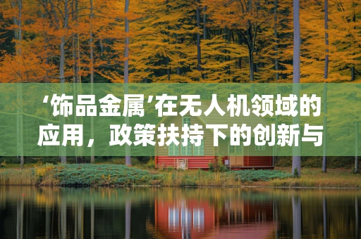 ‘饰品金属’在无人机领域的应用，政策扶持下的创新与挑战？