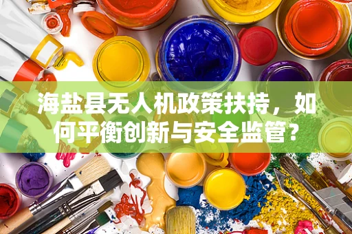 海盐县无人机政策扶持，如何平衡创新与安全监管？