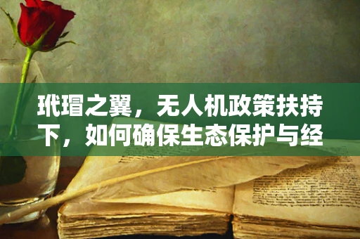 玳瑁之翼，无人机政策扶持下，如何确保生态保护与经济发展的和谐共舞？