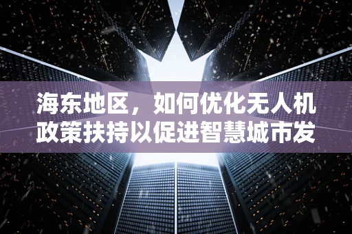 海东地区，如何优化无人机政策扶持以促进智慧城市发展？