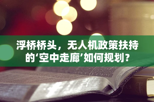 浮桥桥头，无人机政策扶持的‘空中走廊’如何规划？