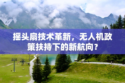 摇头扇技术革新，无人机政策扶持下的新航向？