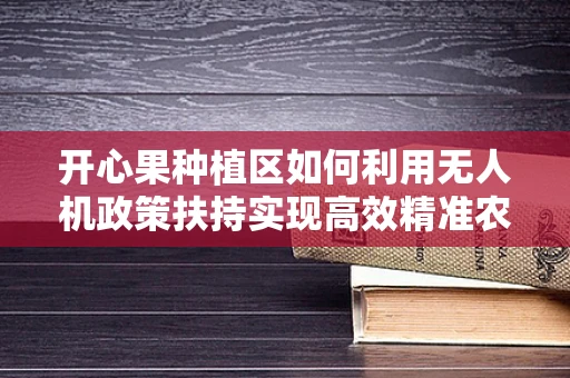 开心果种植区如何利用无人机政策扶持实现高效精准农业？