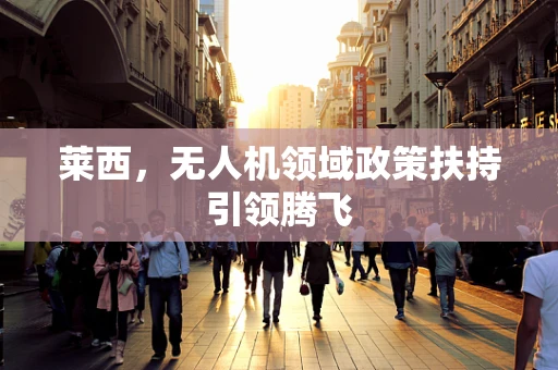 莱西，无人机领域政策扶持引领腾飞