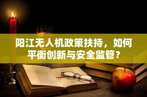 阳江无人机政策扶持，如何平衡创新与安全监管？