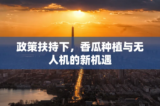 政策扶持下，香瓜种植与无人机的新机遇