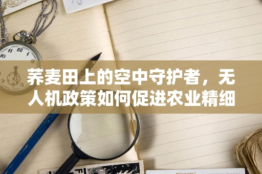 荞麦田上的空中守护者，无人机政策如何促进农业精细化监管？