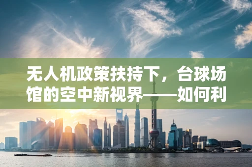 无人机政策扶持下，台球场馆的空中新视界——如何利用无人机技术提升台球场馆的监控与安全？