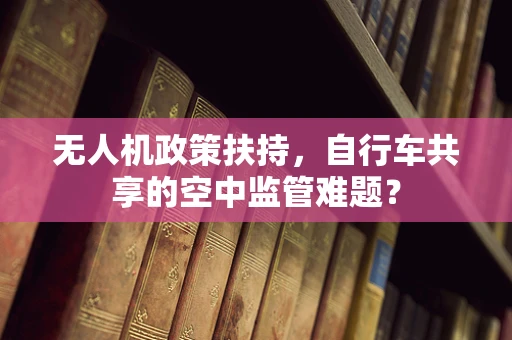 无人机政策扶持，自行车共享的空中监管难题？