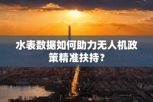 水表数据如何助力无人机政策精准扶持？
