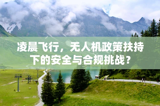 凌晨飞行，无人机政策扶持下的安全与合规挑战？