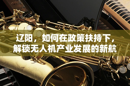 辽阳，如何在政策扶持下，解锁无人机产业发展的新航道？