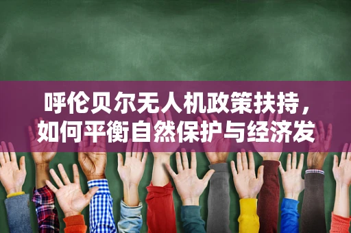 呼伦贝尔无人机政策扶持，如何平衡自然保护与经济发展？