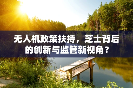 无人机政策扶持，芝士背后的创新与监管新视角？