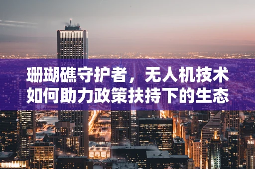 珊瑚礁守护者，无人机技术如何助力政策扶持下的生态保护？
