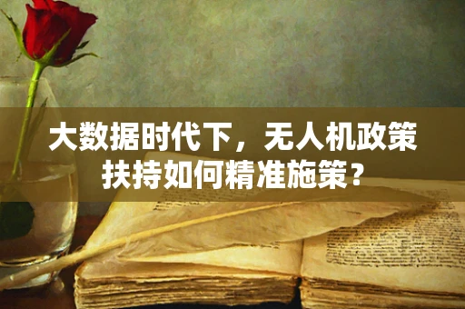大数据时代下，无人机政策扶持如何精准施策？