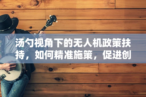 汤勺视角下的无人机政策扶持，如何精准施策，促进创新与安全并进？