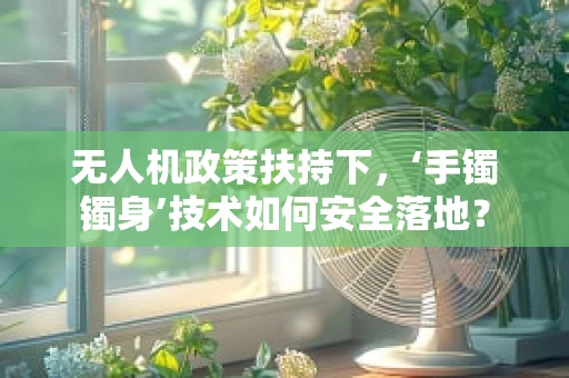 无人机政策扶持下，‘手镯镯身’技术如何安全落地？
