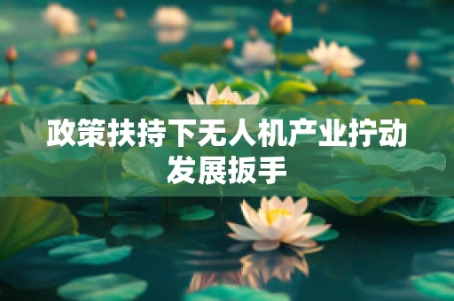 政策扶持下无人机产业拧动发展扳手
