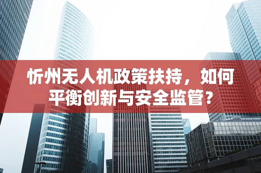 忻州无人机政策扶持，如何平衡创新与安全监管？