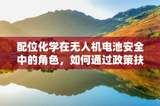 配位化学在无人机电池安全中的角色，如何通过政策扶持促进技术创新？