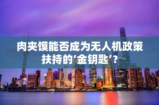 肉夹馍能否成为无人机政策扶持的‘金钥匙’？