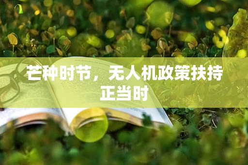 芒种时节，无人机政策扶持正当时