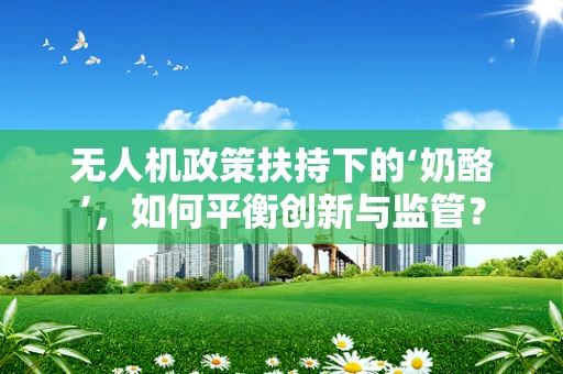 无人机政策扶持下的‘奶酪’，如何平衡创新与监管？