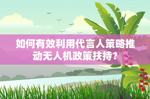 如何有效利用代言人策略推动无人机政策扶持？